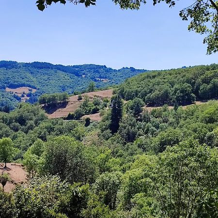 Maison Charmante A Florentin La Capelle Avec Jardin Et Vue Montagne 外观 照片