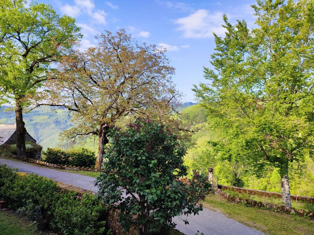 Maison Charmante A Florentin La Capelle Avec Jardin Et Vue Montagne 外观 照片